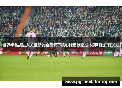 世界杯备战进入关键期转会风云下核心球员状态成本周引发广泛关注 世界杯备战进入关键期转会风云下核心球员状态成本周引发广泛关注